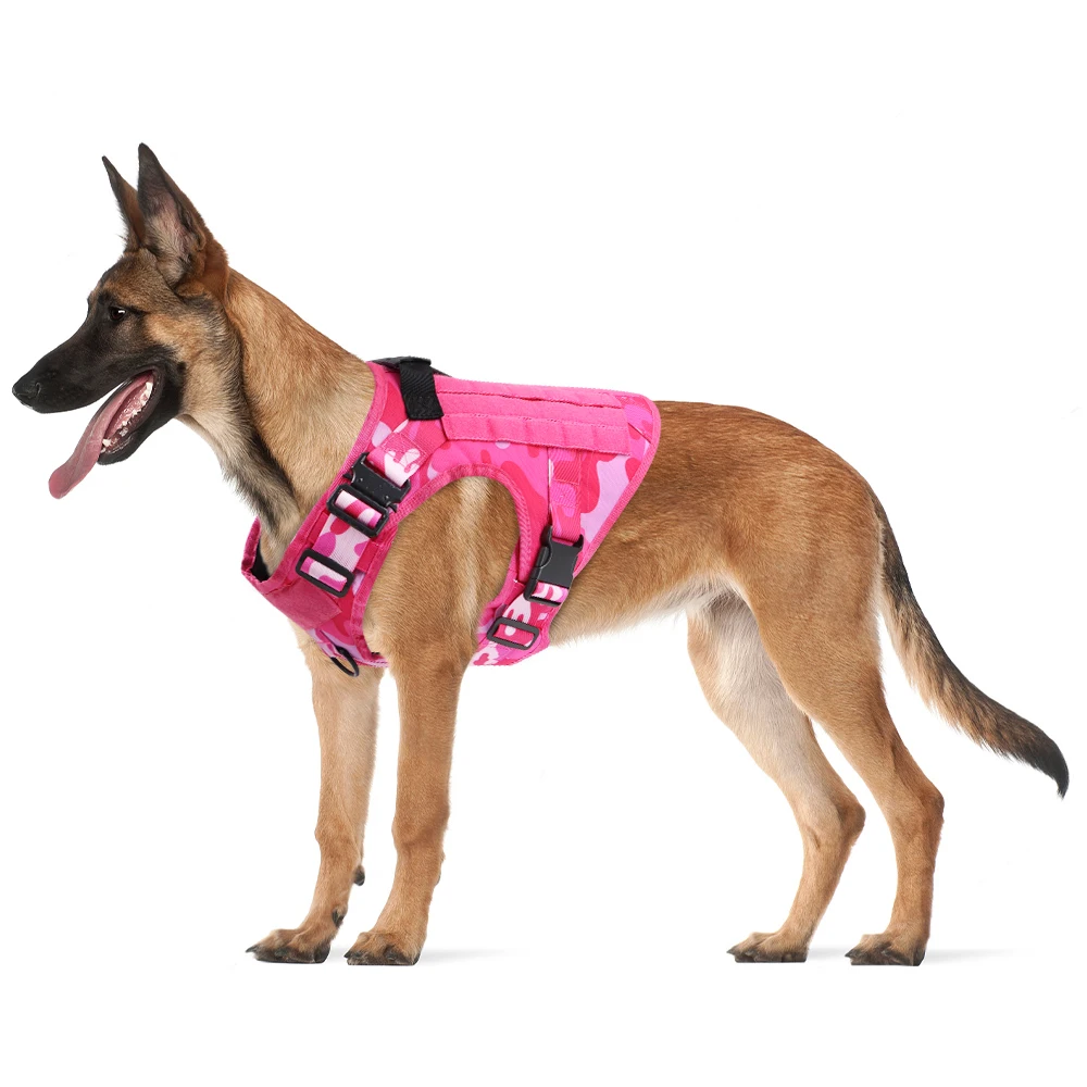 Military Pink Camouflage Dog Harness