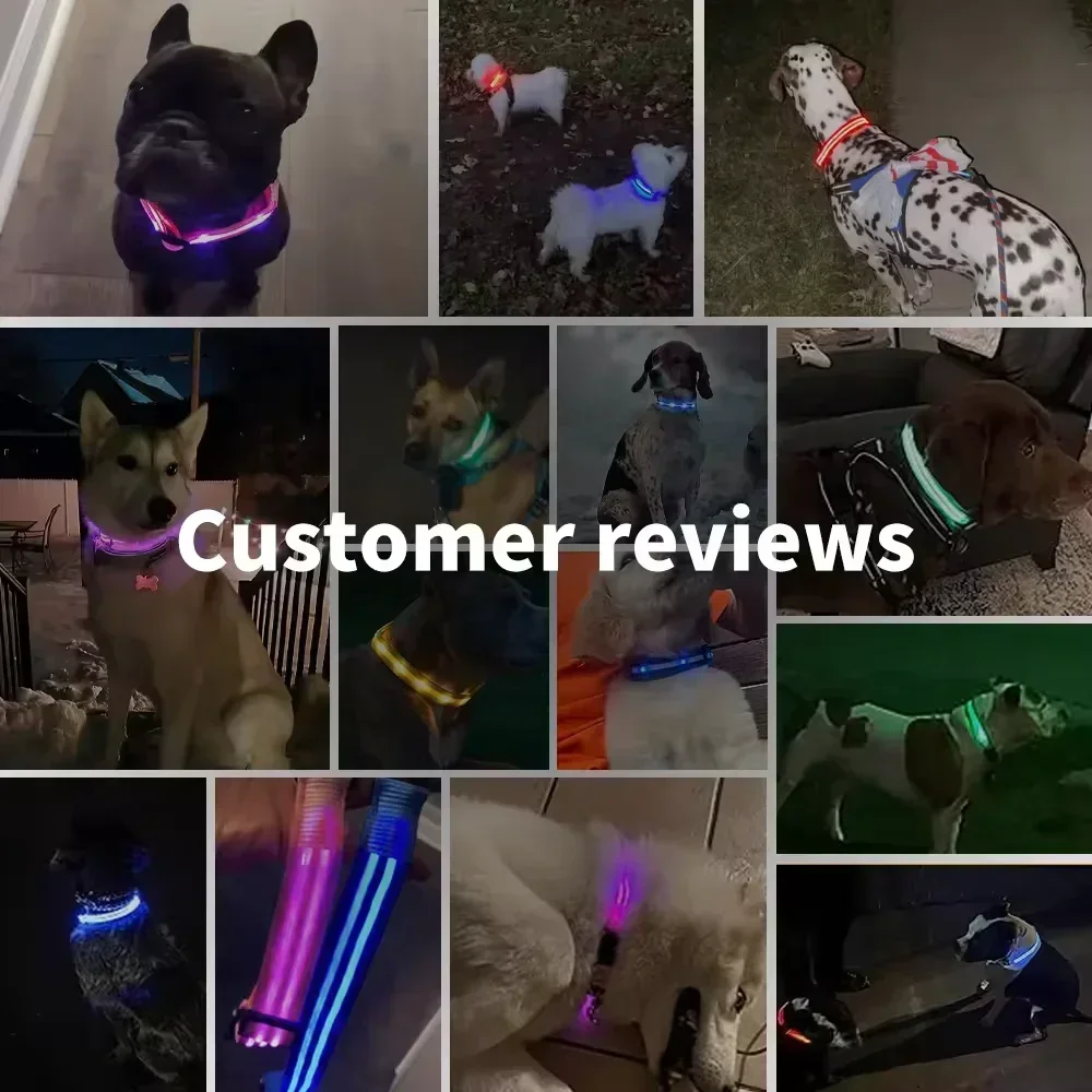 LED Glowing Dog Collar Adjustable Flashing - Image 6