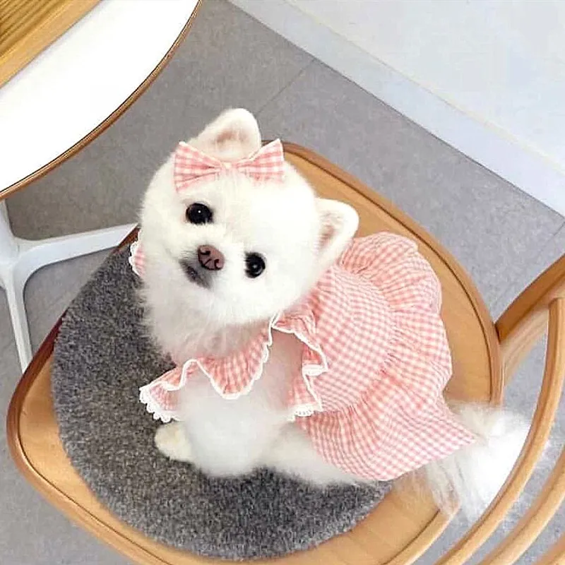 Spring/summer pet dress pink plaid lace