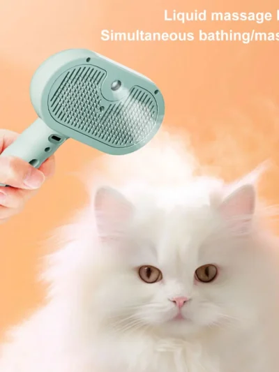 3 in 1 Cat Steam Brush