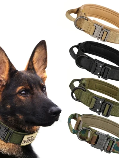 Dog Training Collar Adjustable