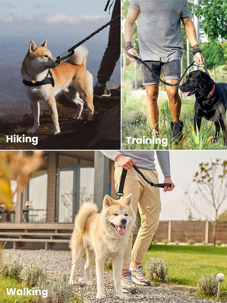 Military Dog Adjustable Leash Quick Release - Image 11