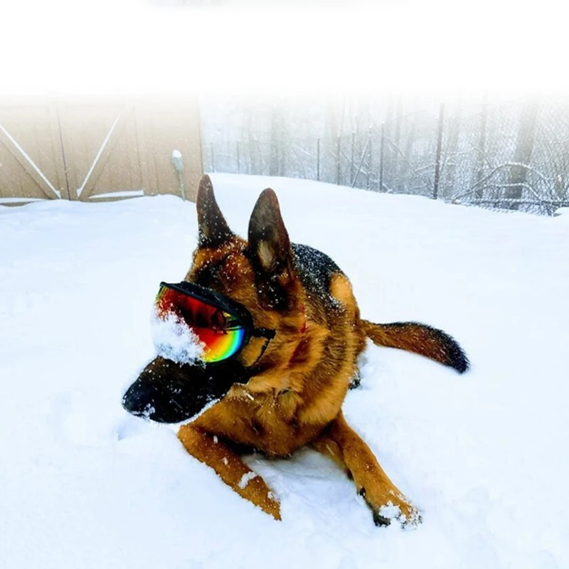 Dog Goggles Anti-UV Sun Glasses