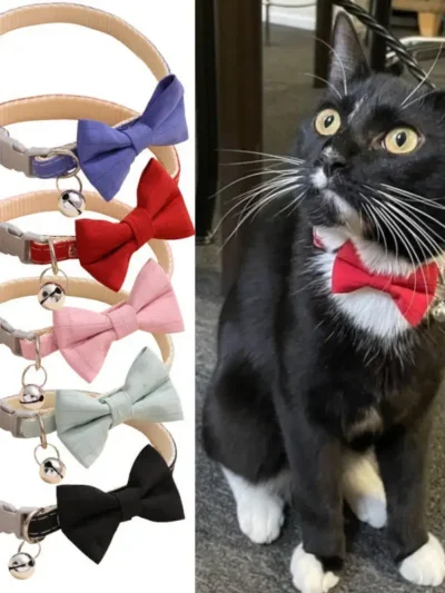 Bow Collar Cats/ Small Dogs