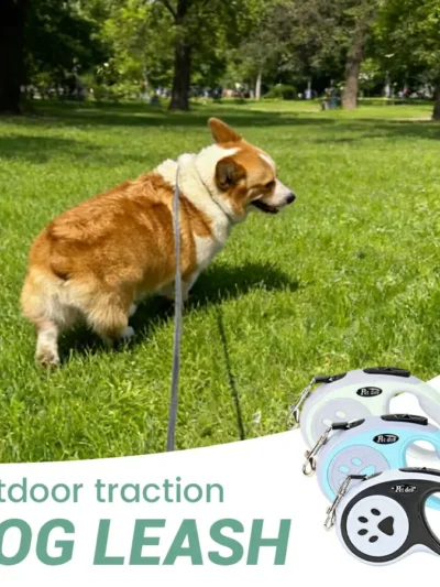 3m 5m Nylon Pet Dog Leash Automatic Retractable