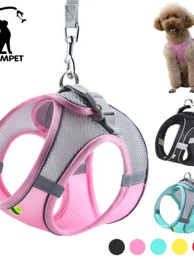 Small Dog/Cat Harness Leash Set