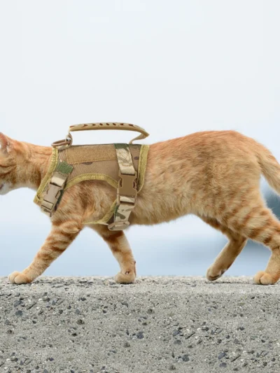 Tactical Cat/ Small Dogs Harness Adjustable
