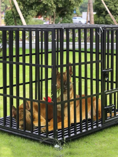 L XL XXL Heavy Duty Dog Crate