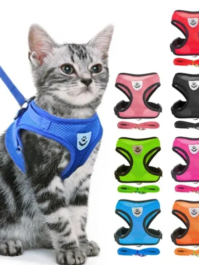 Harness Vest Walking Lead Leash