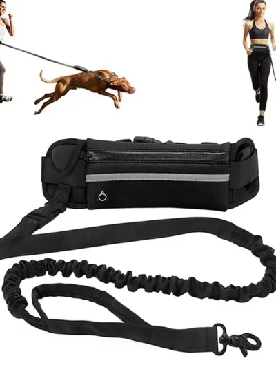 Hands Free Dog Leash