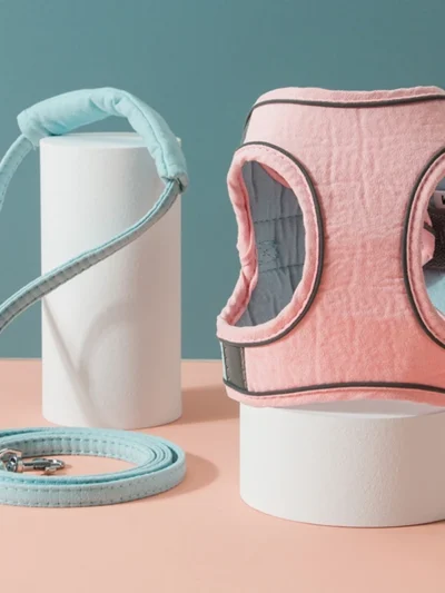 Cat Harness Leash Set