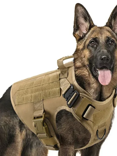 Large Dog Harness And Leash Set