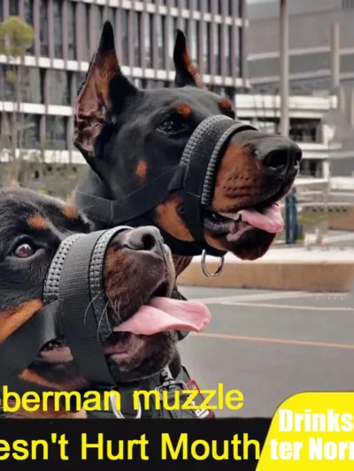Dog Muzzle Anti-Bite Anti-barking