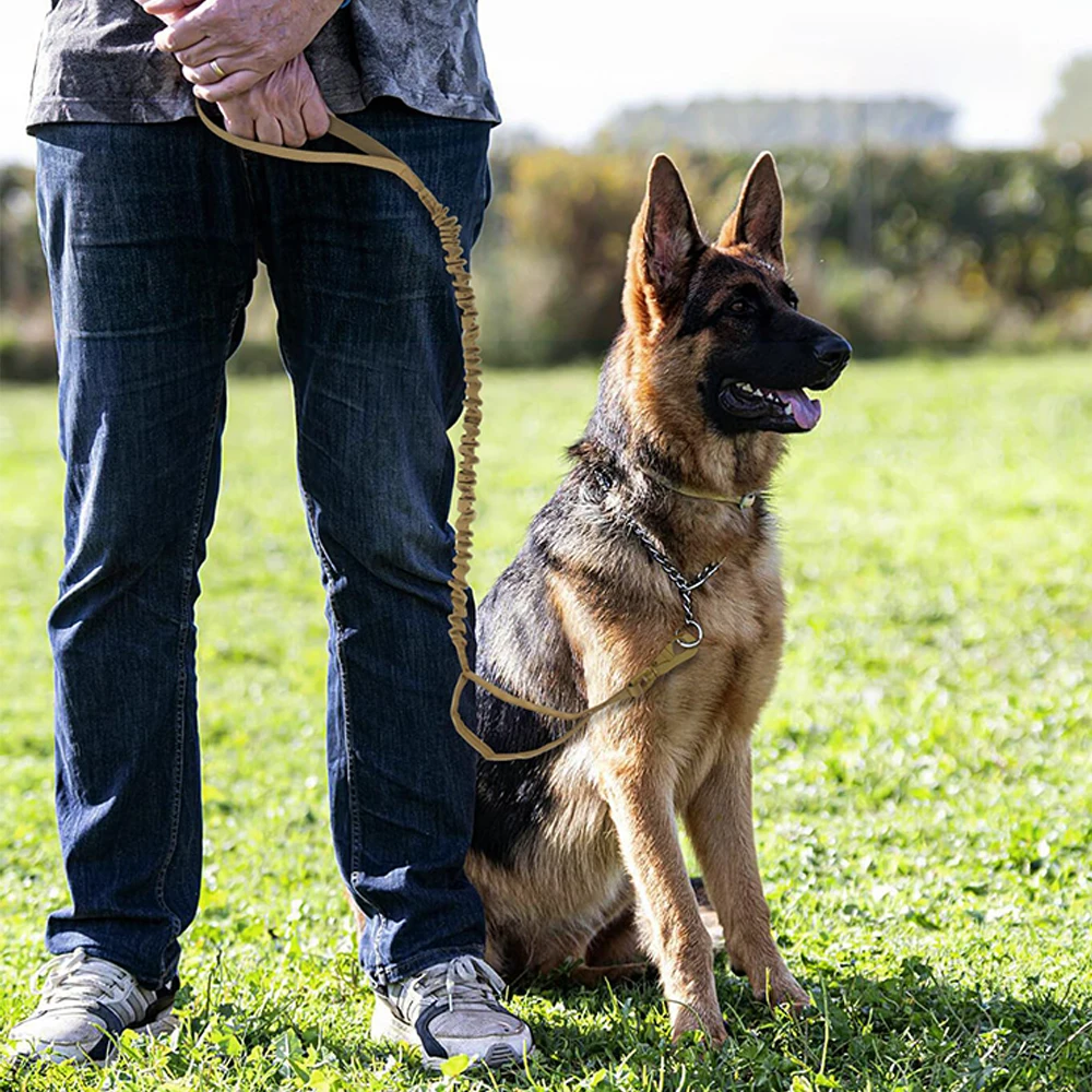 Military Dog Adjustable Leash Quick Release - Image 5