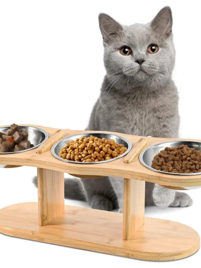 3 Bowls in 1 Feeding Watering