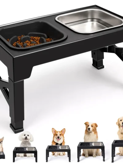 2-in-1 Elevated Slow Feeder Dog Bowls