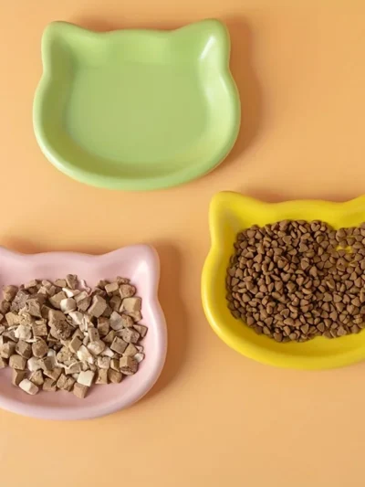 Pet Bowl Food Dish
