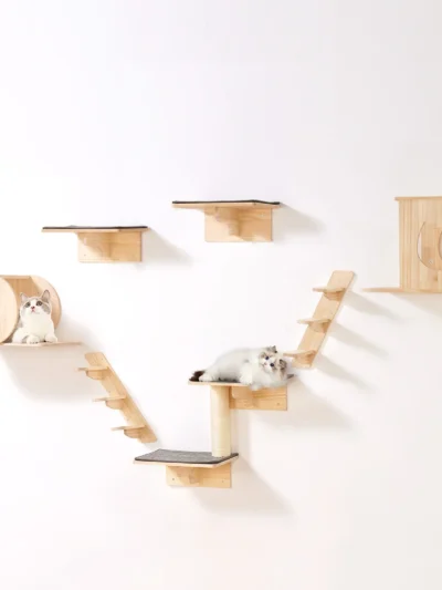 Wall Mounted Cat Shelves