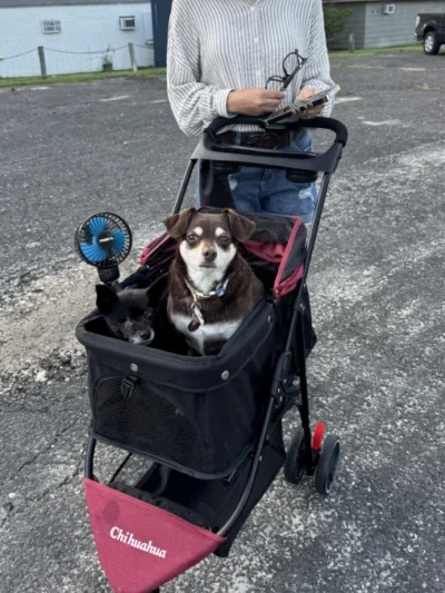 Portable Foldable Pet Stroller