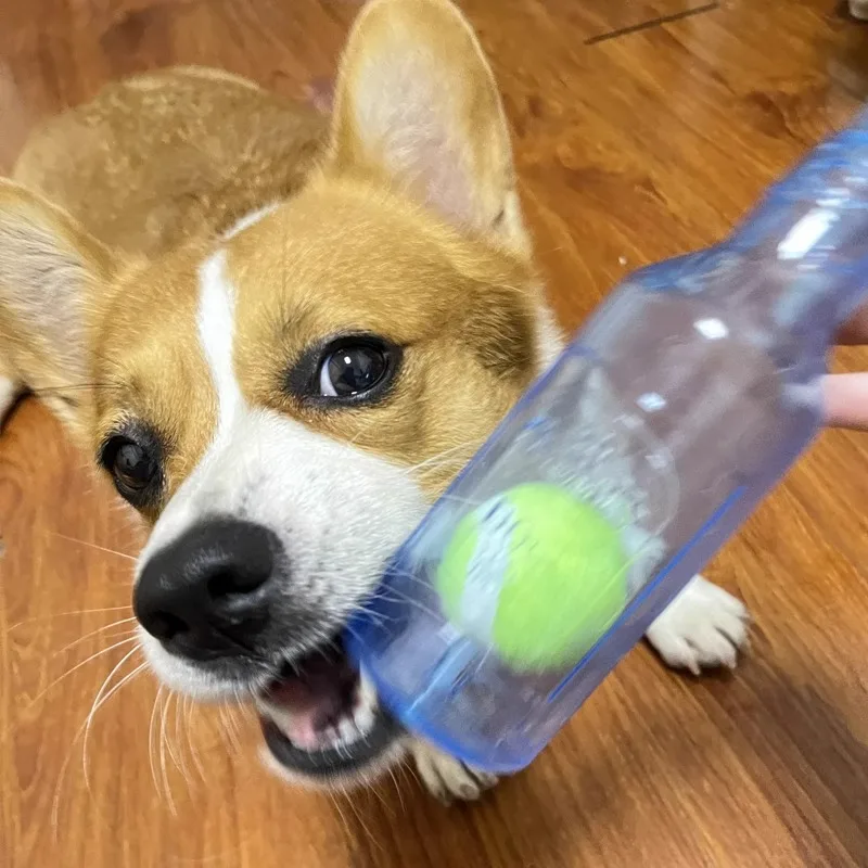 Puppy Chew Toy Bite-resistance Beer Bottle