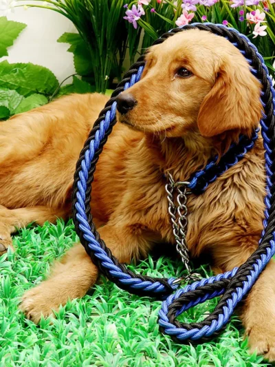 Nylon Braided Dog Collar And Leash
