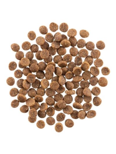 Go! Cat Carnivore Grain Free Salmon & Cod 8Lb