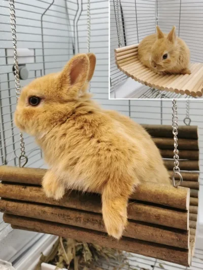 Wooden Hammock Summer Pet Swing