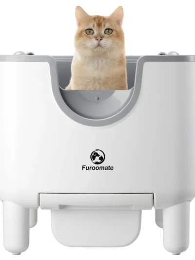 Self-Cleaning Litter Box