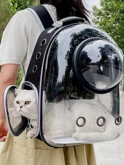 Pet Cat Carrying Bag